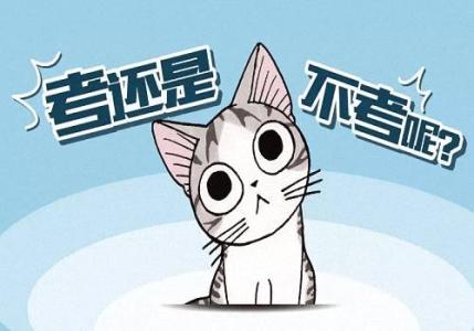 写给金融考研的你:你比自己想象的要优秀一点!