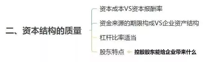 cfa资本结构质量分析请